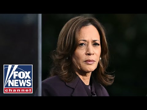 You are currently viewing Ex-Harris staffer makes SHOCKING suggestion after 2024 loss