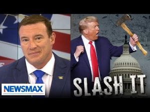 Read more about the article Carl Higbie: The best way to improve the government is by slashing it