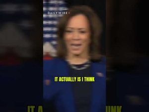 Read more about the article Kamala continues to GASLIGHT, as usual