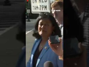 Read more about the article Rep. Pramila Jayapal (D-WA) fires back at accusations progressives are to blame for election loss