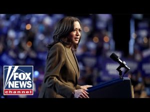 Read more about the article New details revealed on how Kamala Harris fumbled key media strategy