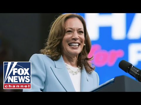 Read more about the article Did Kamala do ‘irreparable’ harm to the Dem Party?