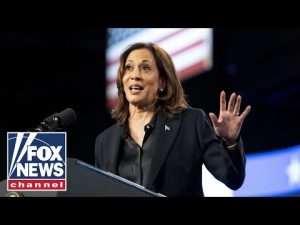 Read more about the article Dem fundraiser RIPS party’s Kamala Harris ‘delusions’: ‘Not what America wants’