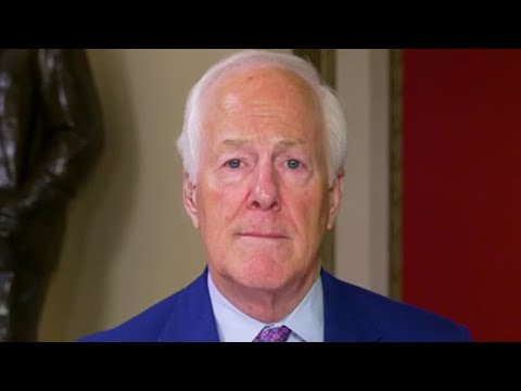 Read more about the article The Biden admin is determined to destroy our country by opening our borders, GOP senator says