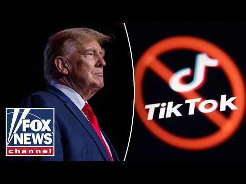 Read more about the article Biden administration ‘rushing’ to ban TikTok: Trump adviser