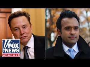 Read more about the article Elon or Vivek should take over as House speaker, says senator