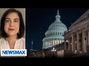 Read more about the article Deal was ‘best case scenario’ in situation we were in: Rep. Nicole Malliotakis | America Right Now