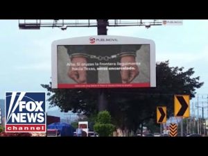 Read more about the article ‘YOU’LL REGRET IT’: Texas unveils billboards to deter illegal migrants