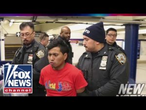 Read more about the article Migrant allegedly lit woman on fire in NYC subway