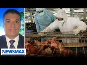 Read more about the article Some concerning signals with bird flu: Dr. Frank Contacessa | Wake Up America