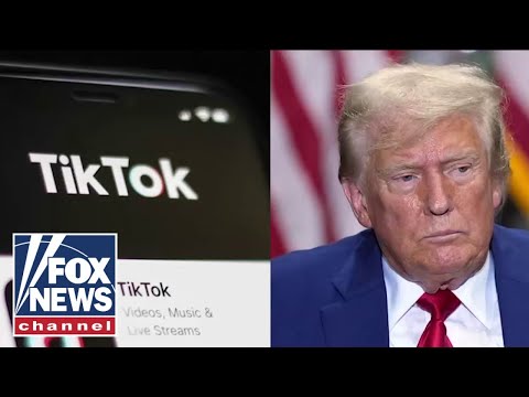 You are currently viewing We need to give Trump time to deal with TikTok: Silicon Valley pioneer