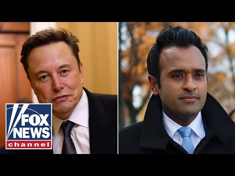 You are currently viewing Musk, Ramaswamy spark debate over H-1B visas: ‘Think of this like a pro sports team’