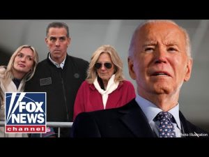 Read more about the article Hunter Biden’s pardon leaves Dems with deepening ‘identity crisis’