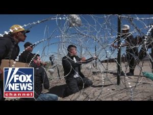 Read more about the article ‘BORDER SECURITY DREAM TEAM’: Trump’s picks to tackle illegal immigration