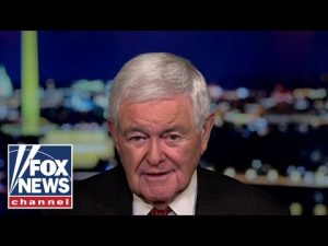 Read more about the article We have to assume Biden has some ‘nutcase staffers’ doing dangerous things, says Newt Gingrich