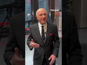 Read more about the article Kevin O’Leary wants to “Make TikTok Wonderful Again”