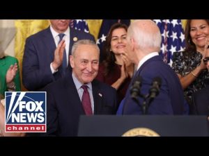 Read more about the article Did Schumer help push Biden out?