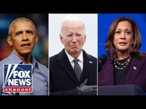 Read more about the article DEMS ‘DOWN BAD’: Democrats had a ‘tough cycle,’ ex-Obama spox concedes