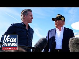 Read more about the article ‘We need your help’: Trump and Newsom put differences aside in wake of CA wildfires