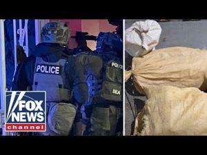 Read more about the article ‘The people of Denver woke up to a safer city,’ says DEA special agent on Colorado raid