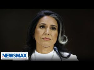 Read more about the article Tulsi Gabbard: I will do my best to find the truth, no matter where it leads