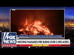 Read more about the article GET OUT: CA resident says ‘everyone’ is fleeing the wildfires ravaging Los Angeles