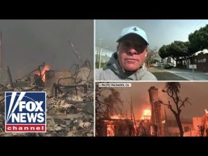 Read more about the article Hollywood actor speaks out after evacuating home: ‘The worst fire I’ve ever seen in my life’