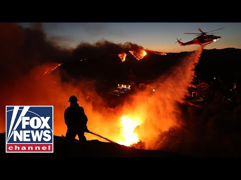 You are currently viewing Palisades fire most destructive in Los Angeles history: Report