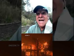 Read more about the article Actor Steve Guttenberg helps neighbors in wildfire evacuation