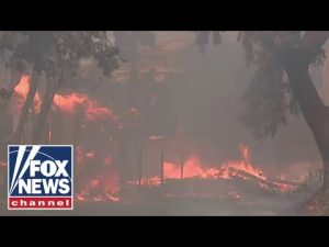 Read more about the article FEMA administrator: California wildfires are ‘truly tragic’