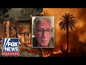 Read more about the article Actor James Woods recalls escaping catastrophic Palisades fire