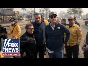 Read more about the article California Dems torched as wildfires rage: ‘Should never have happened’