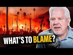 Read more about the article The BIGGEST LESSON From the California Wildfires