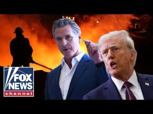 Read more about the article WAR OF WORDS: Trump and Newsom argue over California wildfires disaster