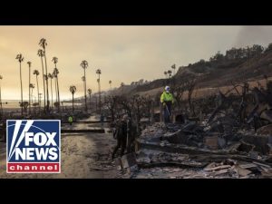 Read more about the article CA wildfire recovery will be ‘really complicated,’ FEMA head says