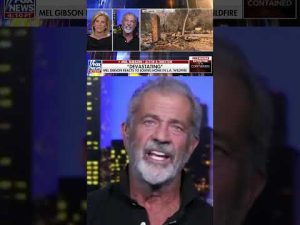 Read more about the article Mel Gibson reacts after losing his home in California wildfire