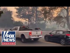 Read more about the article ‘NO PLAN’: Californian details wildfire evacuation chaos