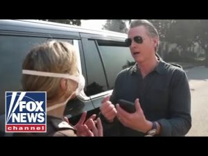 Read more about the article Palisades resident says she was ‘dismissed’ by Newsom in viral confrontation