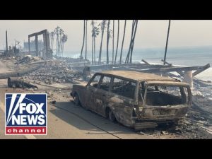 Read more about the article ‘HOPE IS ON THE WAY’: Aid groups rush to help CA wildfire victims