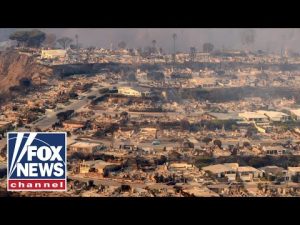 Read more about the article HAPPENED SO ‘QUICKLY’: California resident says wildfire left his street ‘unrecognizable’