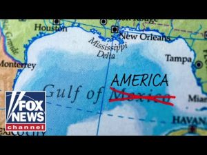 Read more about the article What do New Yorkers think about the ‘Gulf of America’?