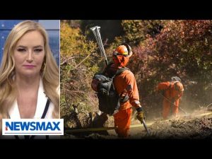 Read more about the article Inmates work toward early release for fighting L.A. wildfires | American Agenda