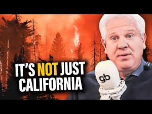 Read more about the article California Fire Chief Reveals BIG Issue with Federal Forest Agencies