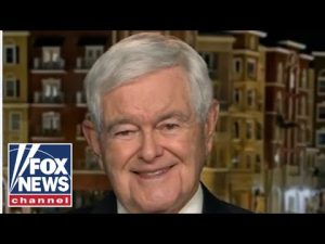 Read more about the article Newt Gingrich: Michelle Obama represents the wing of the party that rejects reality