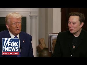 Read more about the article Trump, Musk reveal what they think of media’s attempts to divide them