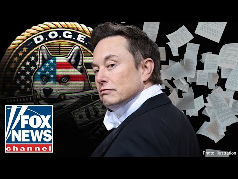 Read more about the article DODGING DOGE: Elon Musk’s government efficiency team bombarded with lawsuits