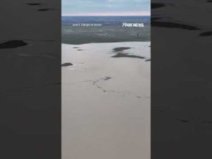 Read more about the article Drone footage shows major flood after levee in Tennessee breaks