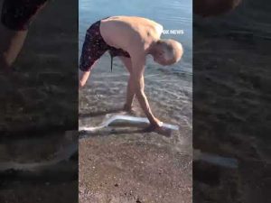 Read more about the article Rare oarfish spotted on beach in Baja California Sur, Mexico