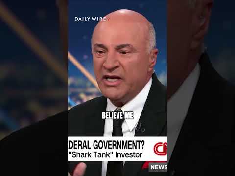 Read more about the article Shark Tank’s Kevin O’Leary gives his take on DOGE’s cuts