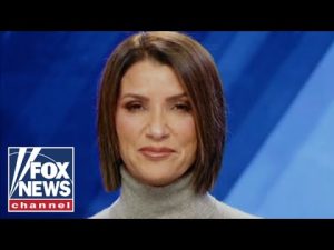 Read more about the article Dana Loesch: Democrats adopted this ‘insanity’ as part of their platform